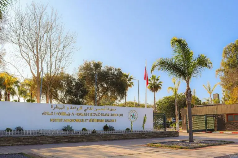 Barrage Al Wahda : l’ABH du Sebou procède à un lâcher d’eau contrôlé